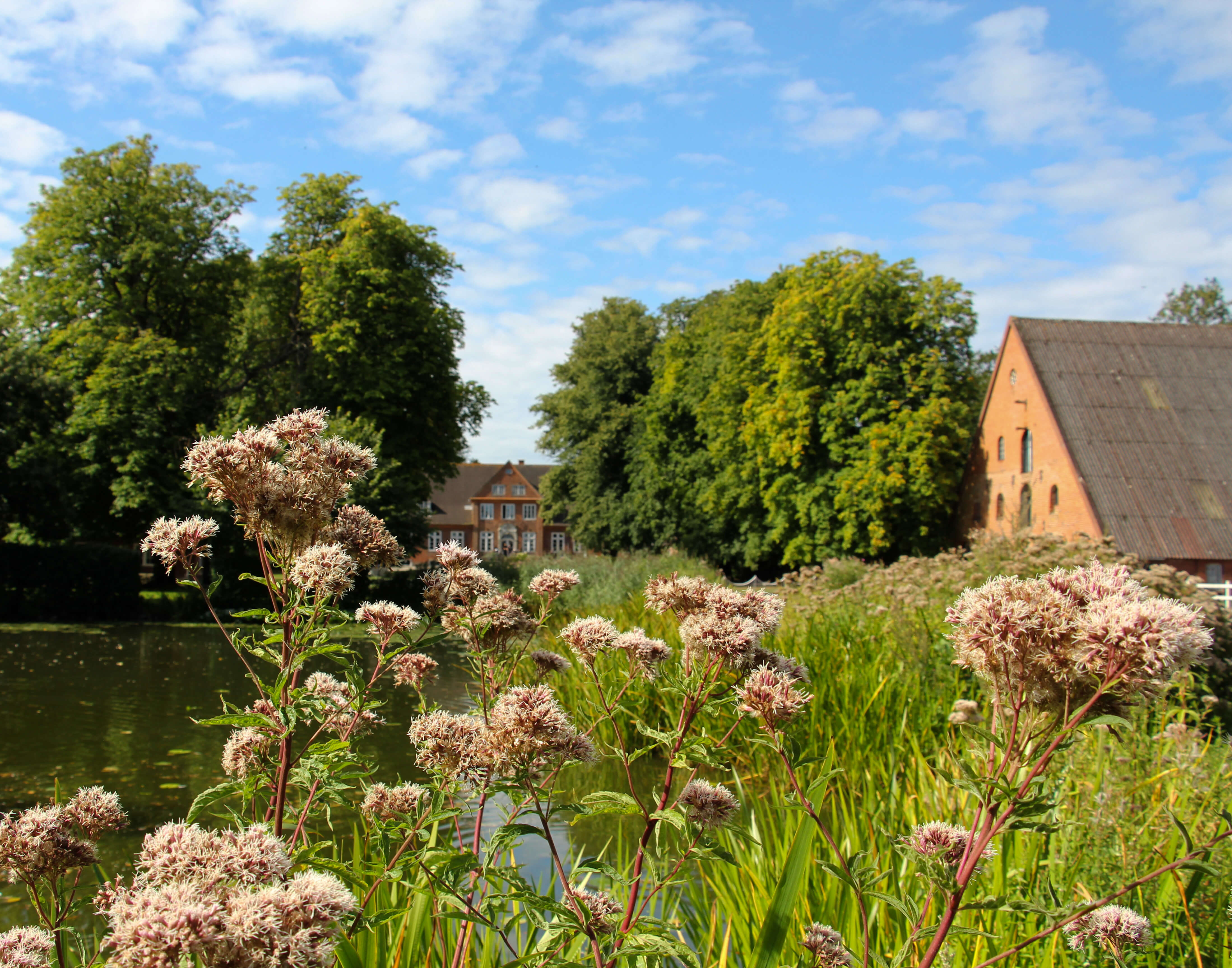 Zeigt das Herrenhaus Gut Eckhof aus der Ferne. Der Teich des Hofes ist im Vordergrund angeschnitten zu sehen. 
